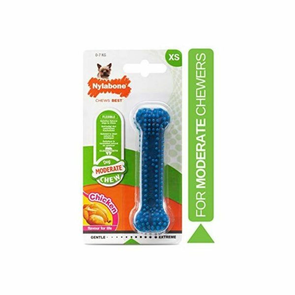 Hondenspeelgoed Nylabone Klein Blauw Natuurlijk Kip Thermoplast Maat XS