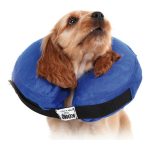 Herstelhalsband voor honden KVP Kong Cloud Blauw Opblaasbaar