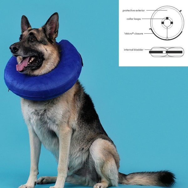 Herstelhalsband voor honden KVP Kong Cloud Blauw Opblaasbaar