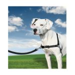 Hondentuig PetSafe Easy Walk Zwart Medianav (M)