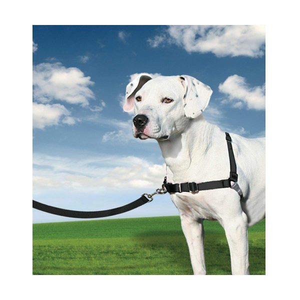 Hondentuig PetSafe Easy Walk Zwart Medianav (M)