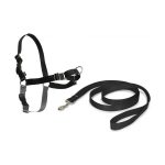 Hondentuig PetSafe Easy Walk Zwart Medianav (M)
