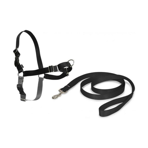 Hondentuig PetSafe Easy Walk Zwart Medianav (M)