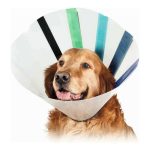 Lampenkap voor honden KVP EZ Clear (16-19 cm)