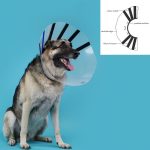 Lampenkap voor honden KVP EZ Clear (16-19 cm)