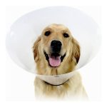 Lampenkap voor honden KVP Check Transparant (61-79 cm)