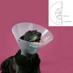 Lampenkap voor honden KVP Betsy Transparant (45-56 cm)