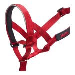 Trainingshalsbanden voor honden Company of Animals Halti Muilkorf (46-62 cm)