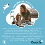 Alleshouder Coachi Train & Treat Blauw