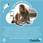 Alleshouder Coachi Train & Treat Blauw