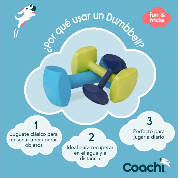Dumbbell Coachi TRAINING DUMBBELL Blauw