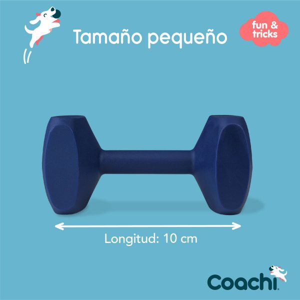 Dumbbell Coachi TRAINING DUMBBELL Blauw