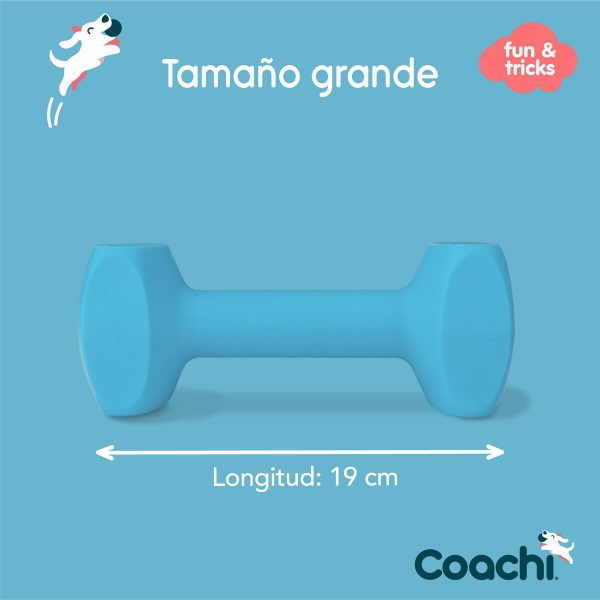 Dumbbell Coachi TRAINING DUMBBELL Blauw L Plastic
