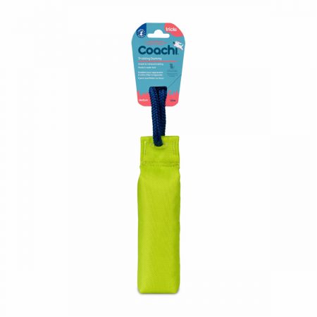Training toy Coachi