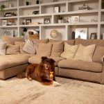 Dierenshampoo Pet Head Ditch the Dirt Oranje