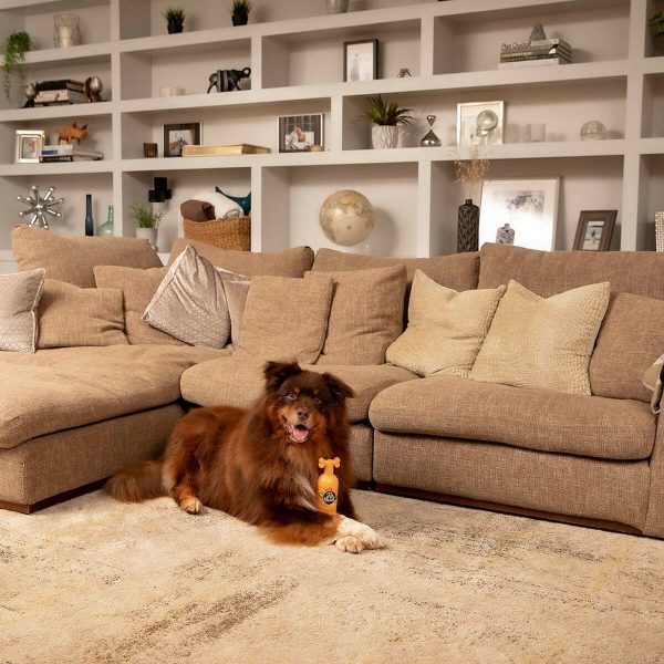 Dierenshampoo Pet Head Ditch the Dirt Oranje