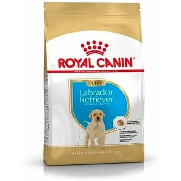 Voer Royal Canin Puppy/junior 3 Kg