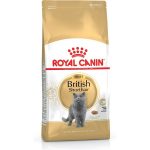 Kattenvoer Royal Canin Savour Exigent Volwassen Maïs Plantaardig Vogels 2 Kg