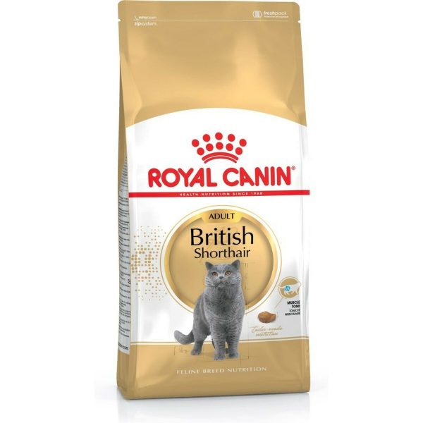 Kattenvoer Royal Canin Savour Exigent Volwassen Maïs Plantaardig Vogels 2 Kg
