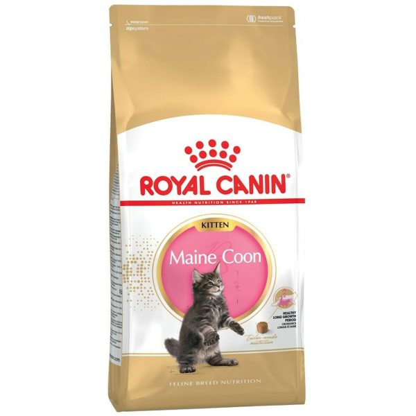 Kattenvoer Royal Canin Outdoor Volwassen Kip 2 Kg
