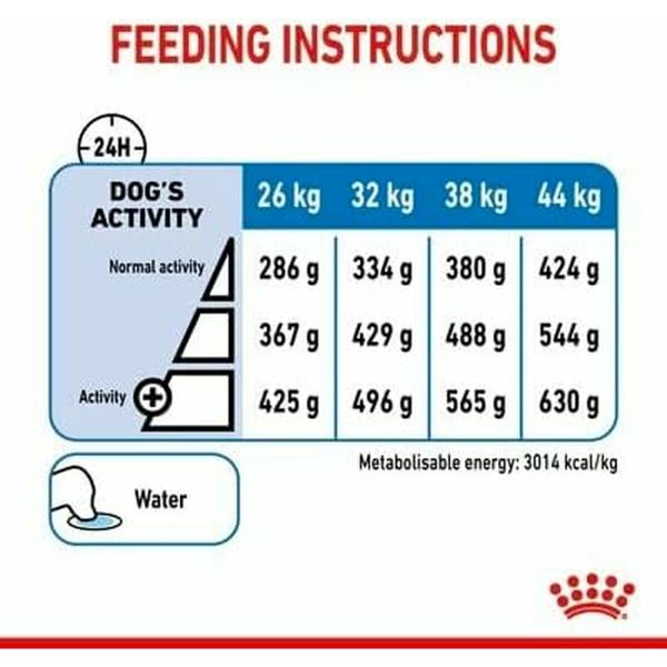Voer Royal Canin 12 kg