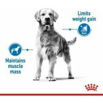 Voer Royal Canin 12 kg