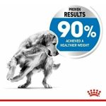 Voer Royal Canin 12 kg
