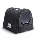 Kattenbak Curver 51 x 38,5 x 39,5 cm Antraciet