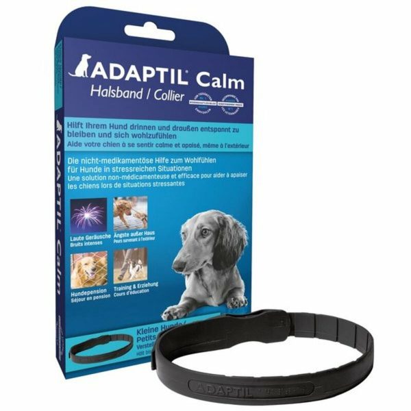Ketting S Hond (45 cm)