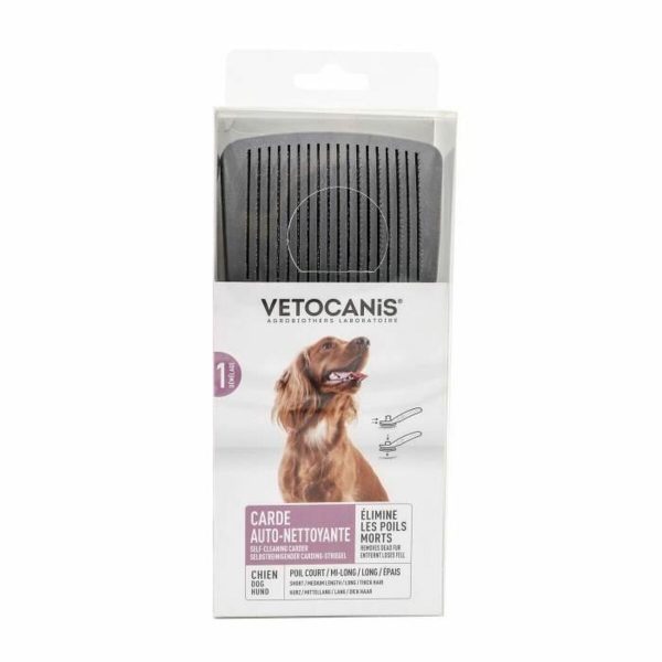 Dematteerkam Vetocanis Hond