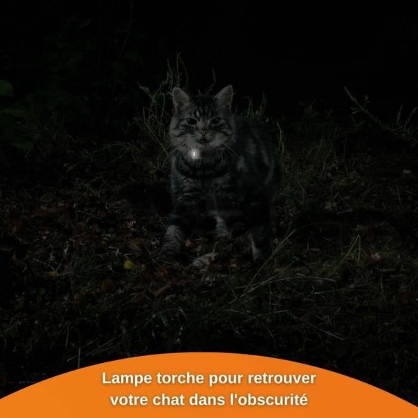 Anti-diefstal zoekapparaat Weenect Weenect XS GPS Kat Wit