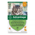Middel tegen parasieten Advantage Kat Konijnenvlees 1-4 Kg 0,4 ml 6 Stuks