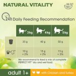Kattenvoer Perfect Fit Adult Natural Vitality Chicken Volwassen Kip Pauw 2,4 kg