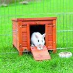 Hut Trixie 42 × 43 × 51 cm Hout
