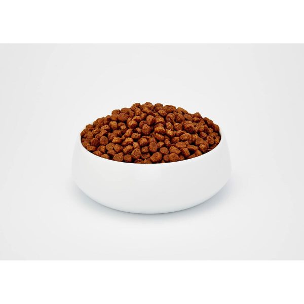 Kattenvoer BOSCH ADULT Volwassen Kip Vogels 10 kg