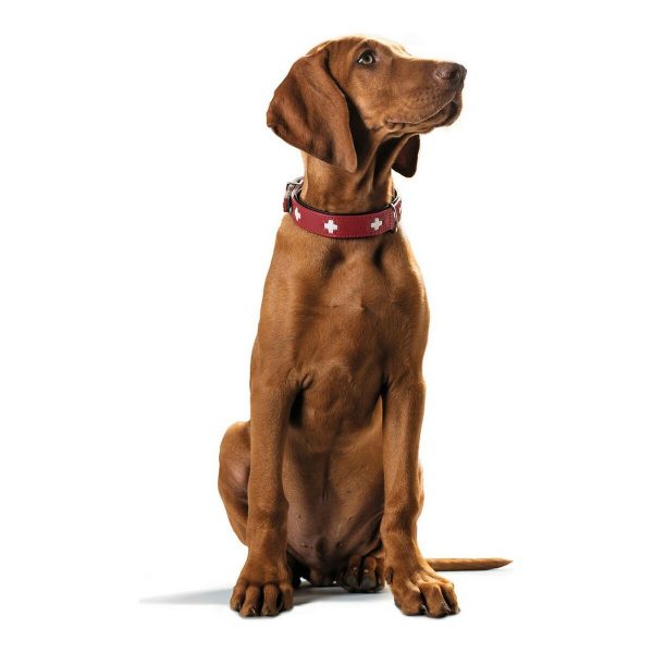 Hondenhalsband Hunter Swiss Rood/Zwart 30-34.5 cm