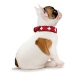 Hondenhalsband Hunter Swiss Rood/Zwart 30-34.5 cm