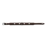 Hondenhalsband Hunter Swiss Negro, marrón (24-28.5 cm)