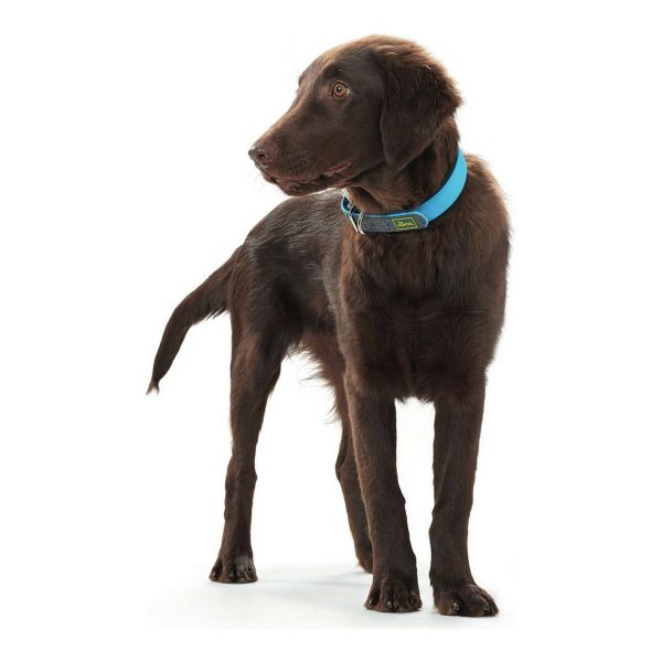 Hondenhalsband Hunter Convenience Turkoois (42-50 cm)