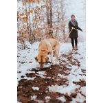 Hondenhalsband Hunter Convenience 53-61 cm L/XL Oranje