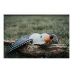 Hondenspeelgoed Hunter Zeemeeuw Wit