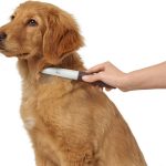 Haarstijl Hunter Draaiend Hark Maat M