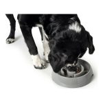 Voerbak voor honden Hunter Melamine 550 ml