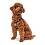 Hondentuigje Hunter Hilo-Comfort Rood Maat XS (35-37 cm)
