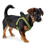Hondentuigje Hunter Hilo-Comfort Limoen M (55-60 cm)