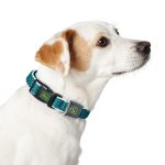 Hondenhalsband Hunter Vario Basic Draden Bruin Maat S (30-43 cm)
