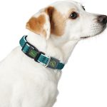 Hondenhalsband Hunter Basic Draad Bruin Maat M Brown (33-50 cm)