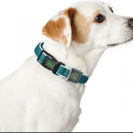 Hondenhalsband Hunter Basic Draad Blauw Maat M Blue (33-50 cm)