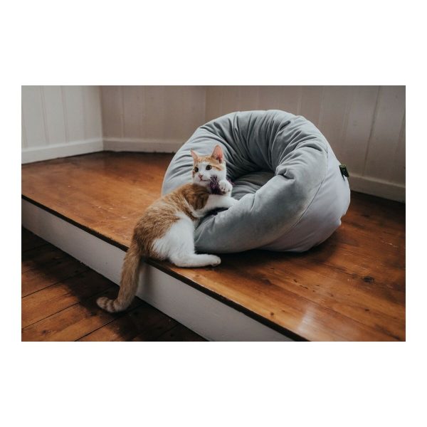 Hondenbed Hunter MIRANDA Antraciet 50 x 50 cm