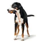 Verpakking Hunter Dummy Snacks Zwart Oranje